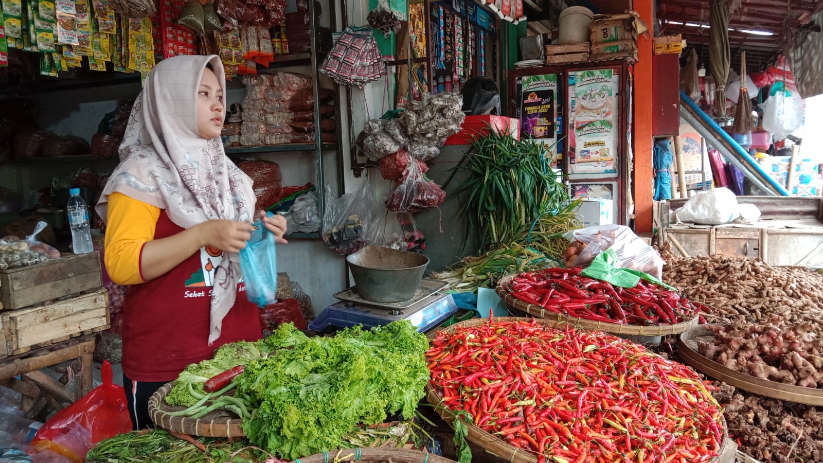 Kado Awal Tahun Harga Cabai Rawit Tembus Rp50 Ribu Kg PANTURA7