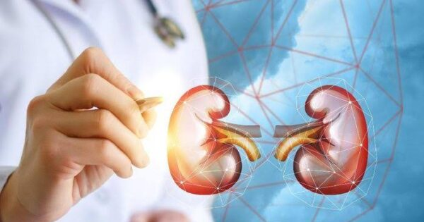 Note, 149 people in Lumajang experience chronic kidney failure – PANTURA7.com