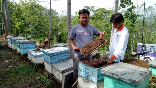 
					Miarso Hadi  menunjukkan panen madu lebah hasil budidayanya, Selasa (21/11/2017). 