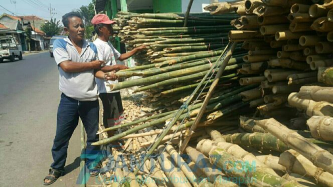 
					Jelang Agustusan, Penjual Bambu Panen