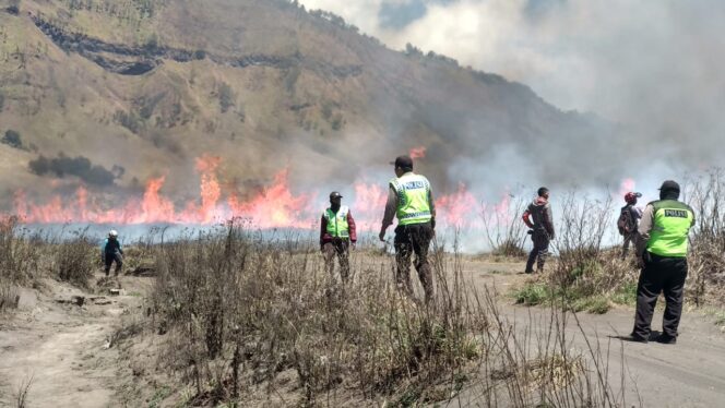 
					Bukit Teletubbies di Gunung Bromo Terbakar