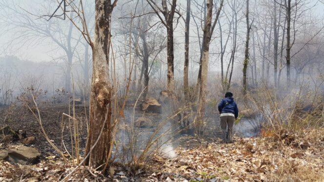 
					Api di Hutan Bentar Padam Sejak Kamis Sore