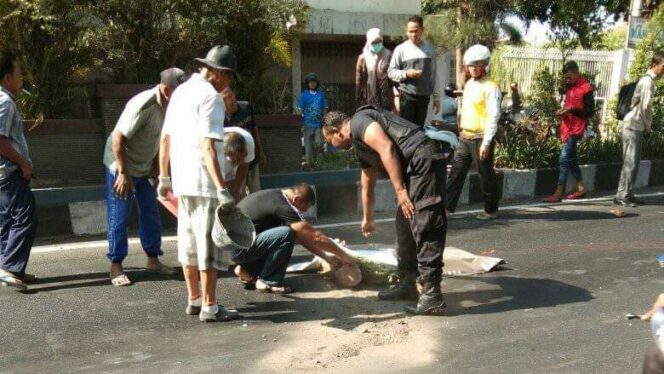 
					Kakek Asal Paiton Tewas Tertabrak Bus di Kraksaan