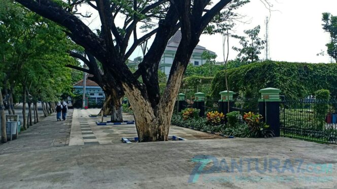 
					Sering Dijadikan Ajang Mesum, Alun-alun Kota Kraksaan Dikeluhkan