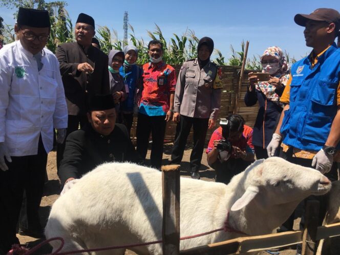 
					Diimbau Tak Gunakan Plastik untuk Bungkus Daging Kurban