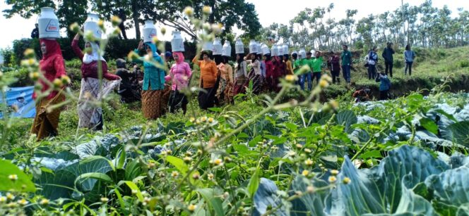 
					Genjot Ekonomi Warga, Festival Sunggi Susu Digelar