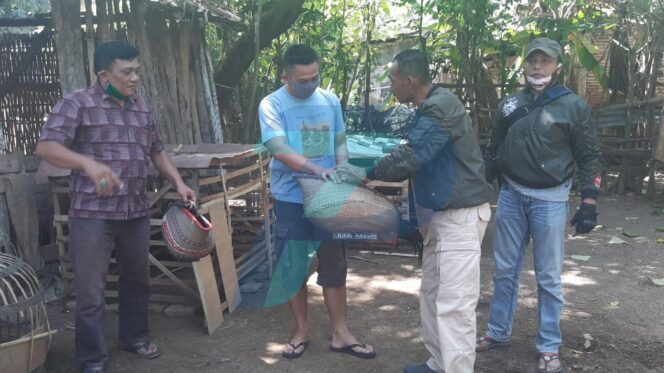 
					Polisi Grebek Sabung Ayam di Kotaanyar, Pelaku Lolos