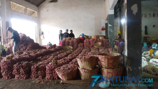 
					Harga Bawang Merah Melonjak Saat Pandemi Covid-19