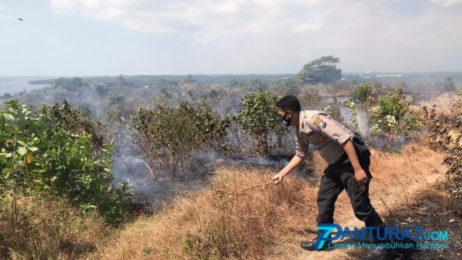 
					Bukit Bentar Dilalap si Jago Merah, Sengaja Dibakar?