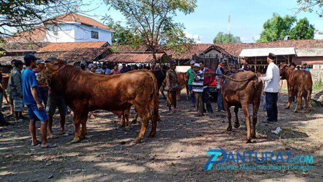 
					Pemkab Probolinggo Wacanakan Kembali Tutup Pasar Hewan