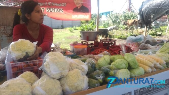 
					Pandemi Covid-19 dan Jelang Idul Adha, Harga Sayuran Stabil