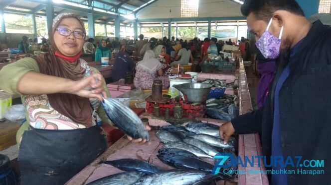 
					Angin Kencang Belum Pengaruhi Harga Ikan Laut