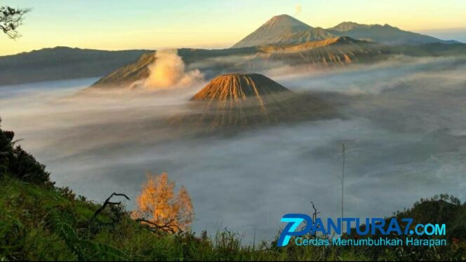 
					Pekan Ini Wisata Bromo Dibuka, Ini Syarat Pengunjung