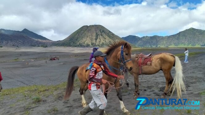 
					Reaktivasi Gunung Bromo, Ini Respon Para Pengusaha