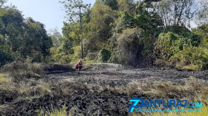 
					Akibat Puntung Rokok, Lahan Gambut di Bugulkidul Terbakar