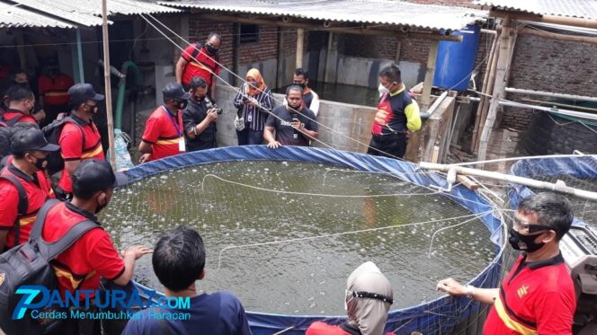 
					Budidaya Lele, Omzet Polisi Ini Tak Bisa Dianggap Sepele