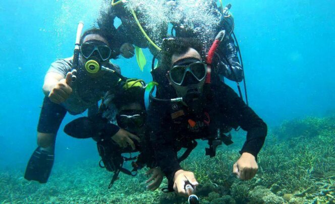 
					Merajut Harmoni di Surga Bawah Laut Pantai Bohay Paiton