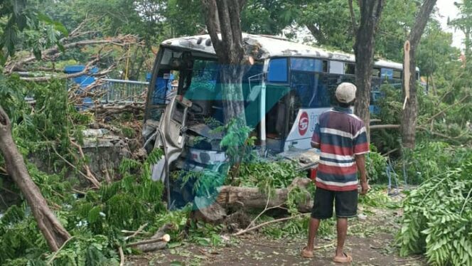 
					Bus Tentrem Hantam Pohon, Pengayuh Sepeda Tewas