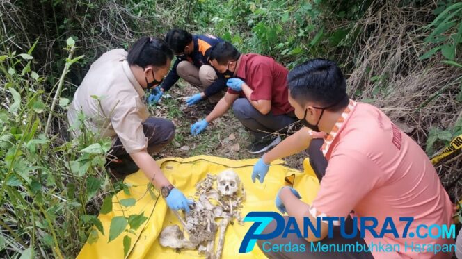 
					Kerangka Manusia Ditemukan Berserakan di Hutan Krucil