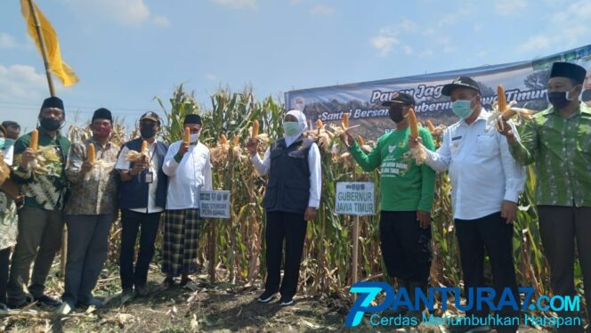 
					Khofifah Minta Petani Tumbuhkan Industri Olahan Jagung