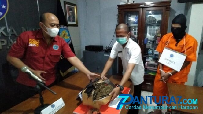 
					Kurir Ganja Dibekuk BNN Kabupaten Pasuruan