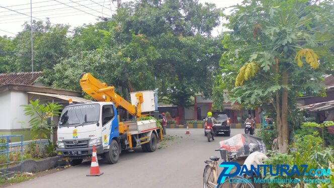 
					Antisipasi Gangguan Jaringan, PLN Pangkas Pohon di 13 Kecamatan