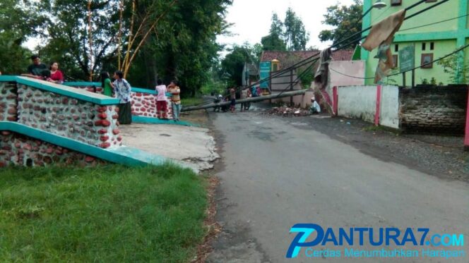 
					Dua Tiang Listrik di Paiton Roboh, Jalan Desa Terhalang