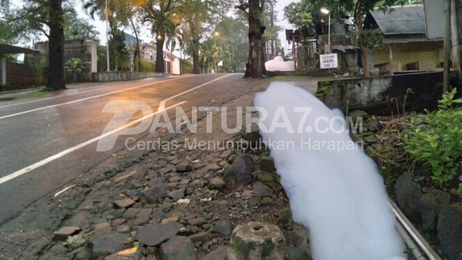 
					Busa Putih Penuhi Saluran Air di Prigen