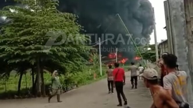 
					Peternakan Ayam Potong Terbakar, Kerugian Rp 5 M