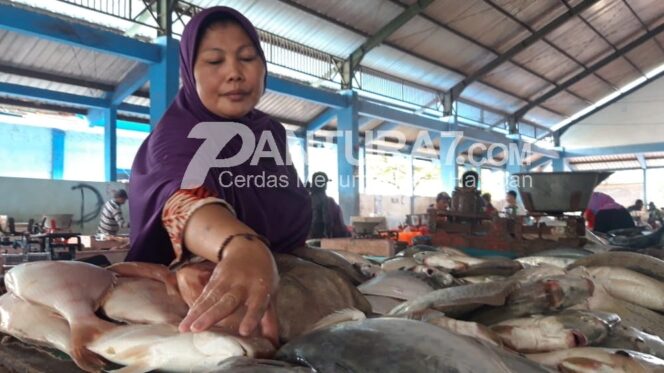 
					Harga Ikan Laut di Mayangan Mulai Turun