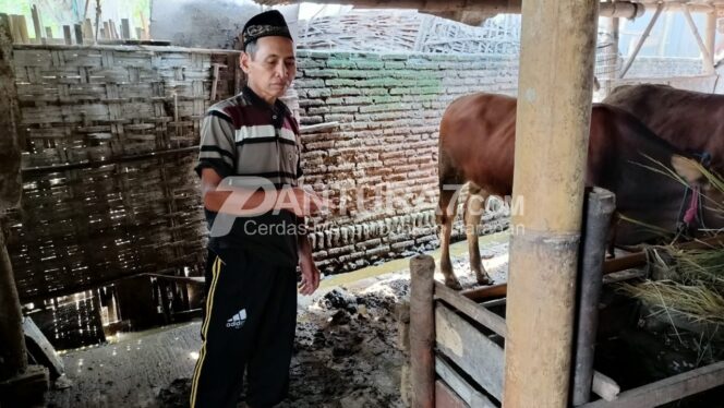 
					Sapi Warga Paiton Digondol Maling Bermobil