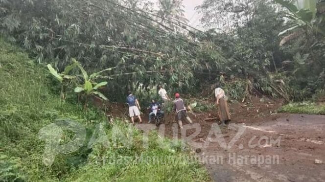 
					Tanah Longsor, Rumpun Bambu Hadang Jalan