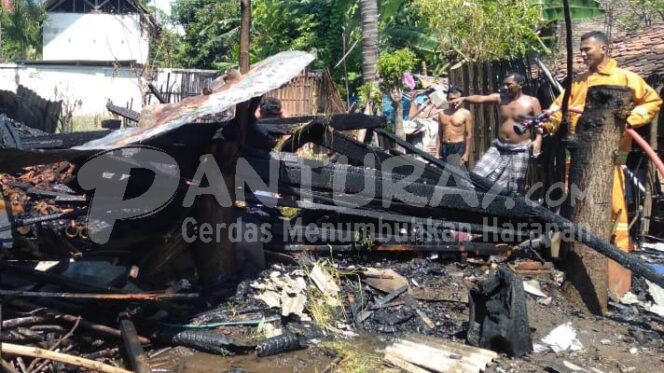 
					Bakar Jerami Kering, Kandang Sapi di Paiton Terbakar