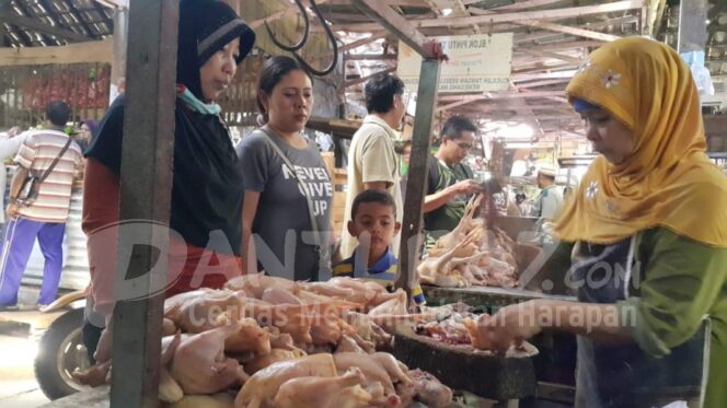 
					Dikeluhkan, Daging Ayam Naik Jelang Puasa