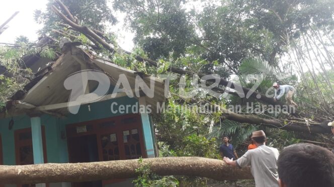 
					7 Pohon Tumbang Timpa 3 Rumah di Banyuanyar