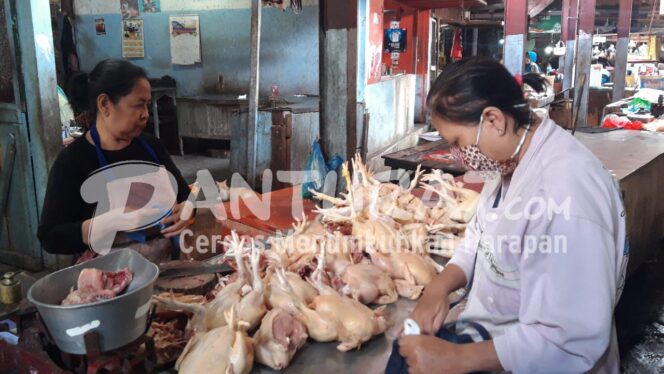 
					INFO: Menjelang bulan ramadhan, harga daging ayam broiler di lapak pedagang Pasar Baru Kota Probolinggo mulai merangkak naik.(foto: Hafiz Rozani)