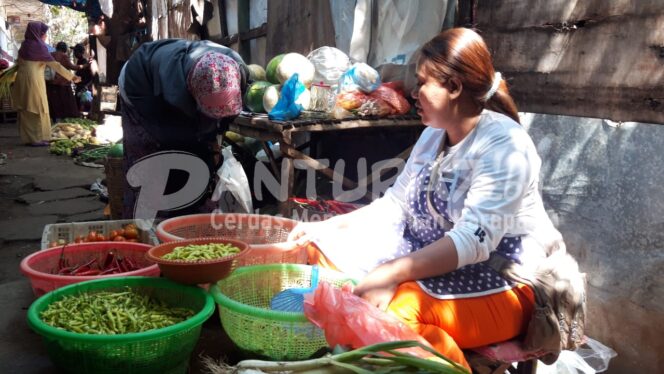 
					Harga Cabai Turun, Kedelai Naik