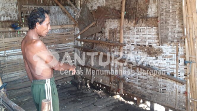 
					Baru Diberi Pakan, 2 Ekor Sapi di Kedungsupit Digondol Maling