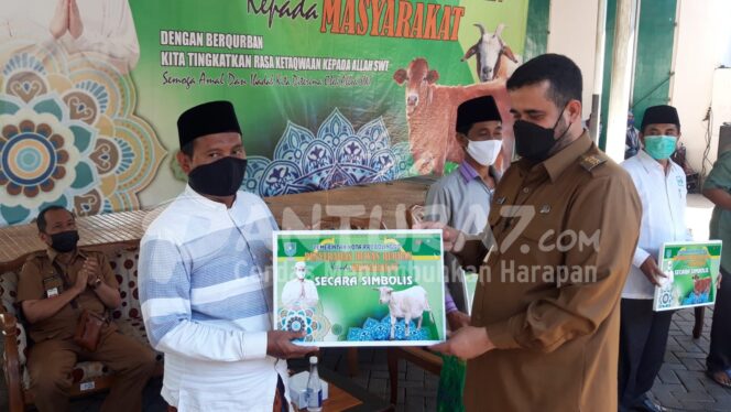 
					Pemkot Probolinggo Bagikan 41 Hewan Qurban