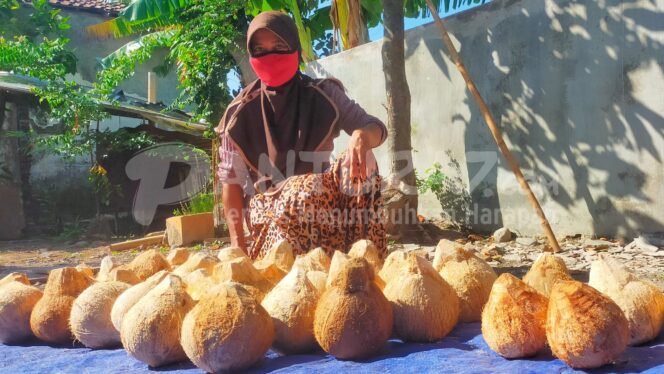 
					Bingung Cari Menu Pendongkrak Imunitas Tubuh, Kelapa Kopyor Solusinya