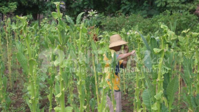 
					Belum Buka, DPRD Sebut Gudang Banyak Pertimbangan