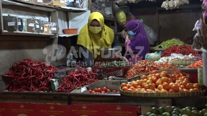 
					Harga Cabai Rawit Kian Anjlok, Kini Rp10 Ribu/Kg