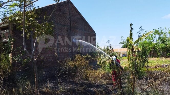 
					Lahan Gambut Terbakar, Nyaris Hanguskan Rumah