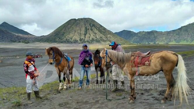 
					Wisata Gunung Bromo Dibuka, Okupansi Hotel Masih 5%