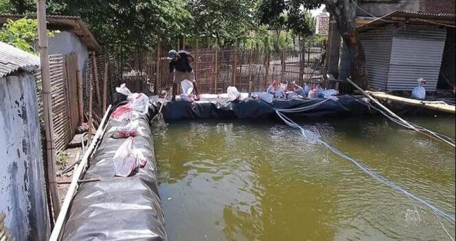 
					Bangkit Pasca Kena PHK, Pekerja Tambak Sukses Budidaya Udang Vannamei