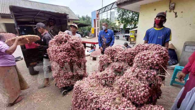 
					Harga Bawang Merah Anjlok, Pembeli Juga Sepi