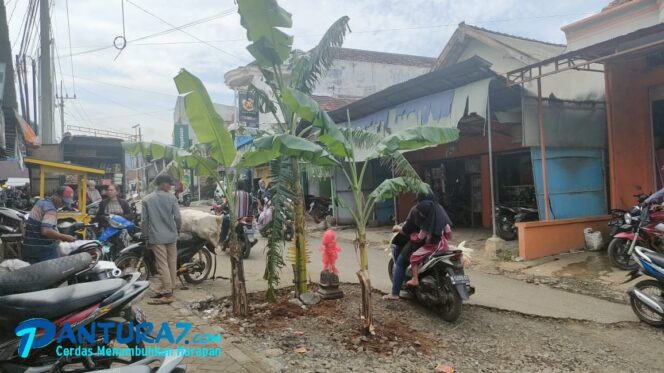 
					Jalan Rusak Parah di Wangkal Ditanami Pisang