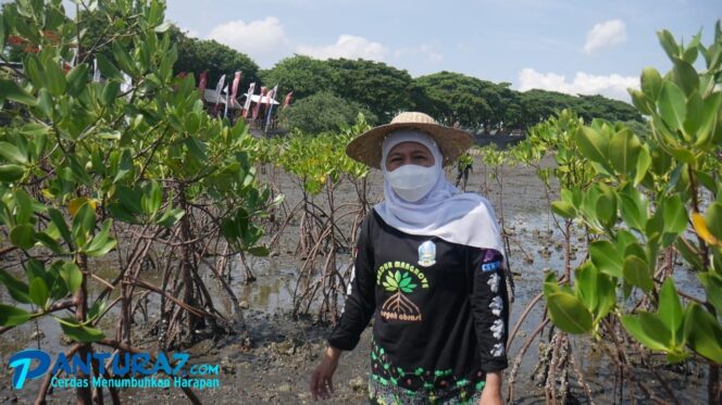 
					Waspada Omicron, Gubernur Khofifah Bakal Tutup Suramadu dan Alun-alun di Jatim