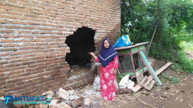 
					Jebol Tembok Kandang, Sapi di Wonomerto Dicuri