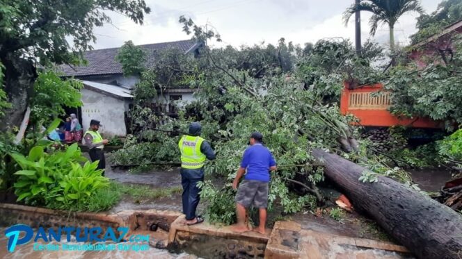 
					Tersapu Puting Beliung, Puluhan Rumah di Besuk Porak-poranda